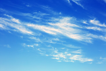 Sky background with clouds . Sky with clouds