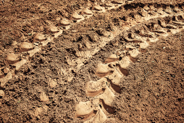 Wheel tracks on dirt