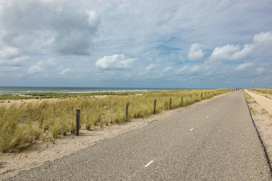 Bicycle trail in Holland