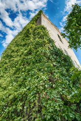 Naklejka premium Abandoned church in Banostor from Serbia