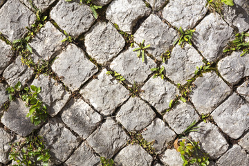 Altilia I, Campobasso, Molise