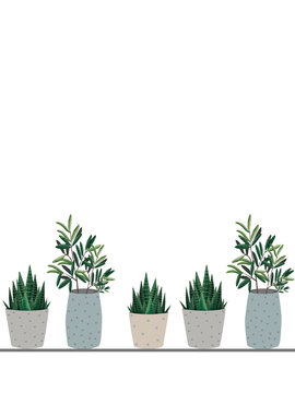 illustration - a potted plant