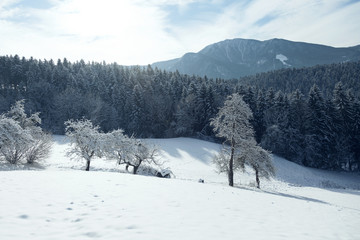 Fototapeta na wymiar Snowy winter countryside landscape at sunny day.