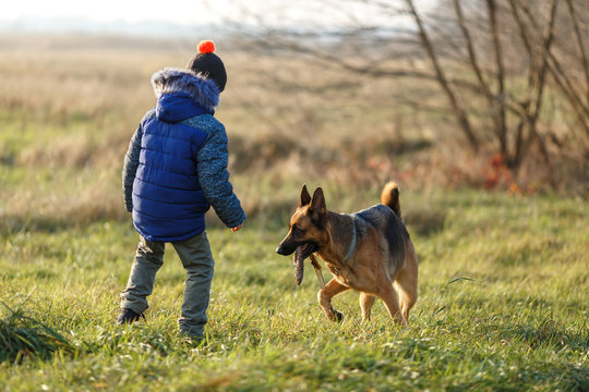 Немецкая овчарка с мальчиком на прогулке
