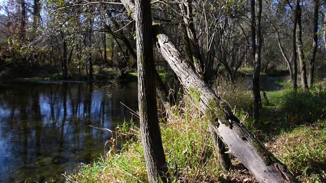 autunno su fiume in una bella giornata di sole