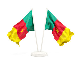 Two waving flags of cameroon