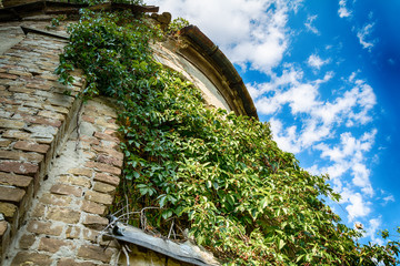 Naklejka premium Abandoned church in Banostor from Serbia