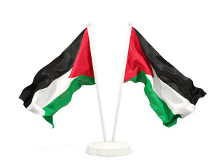 Two waving flags of palestinian territory