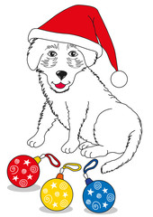 Buon Natale cagnolino © photoxgraph.it