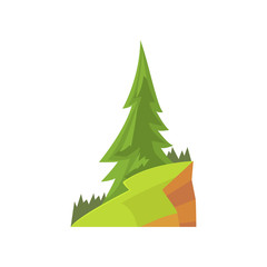 Landscape scene with fir tree and green grass on the hill. Colorful forest nature design element for infographic, game or botany book. Flat vector