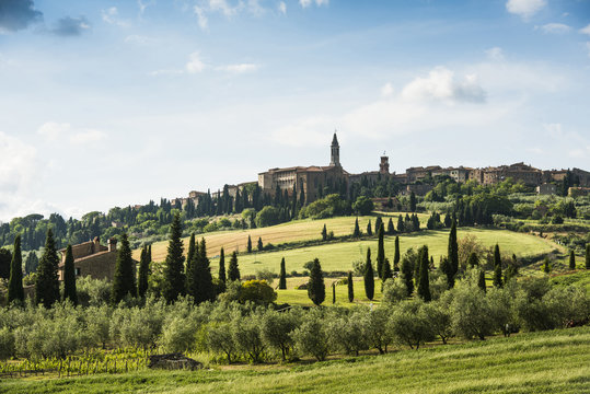Landscape near Pienza, val d'orcia, Province of Siena, Tuscany, Italy