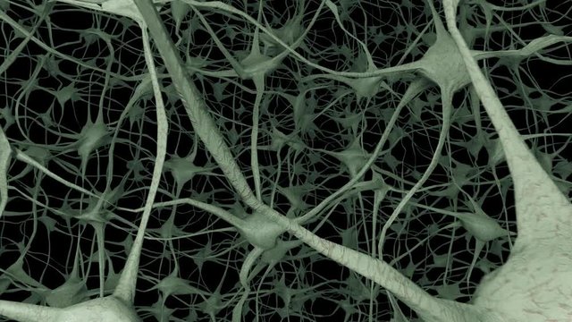 Neurons brain mind axon thought neural network dendrite cell health science alien 4k
