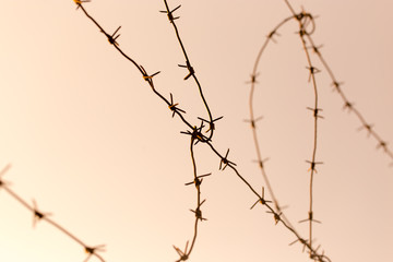 Fototapeta na wymiar barbed wire against the sky at sunset
