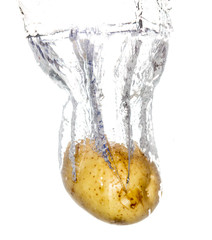 potatoes in water isolated on white background