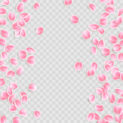 Pink petals Isolated on transparent background. EPS 10 vector