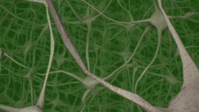 Neurons brain mind axon thought neural network dendrite cell health science alien 4k