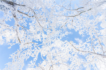  winter landscape in the mountains with falling snow in Seoul,South Korea.