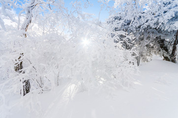  winter landscape in the mountains with falling snow in Seoul,South Korea.