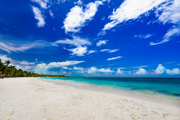paradise resort beach palm tree sea Dominican Republic