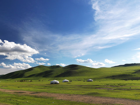 Yurts in tundra scenery, near Darkhan, Mongolia