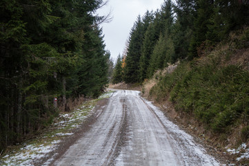 Road cutting a path through an alpine forest in Austria