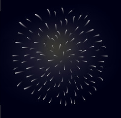 Fireworks at night