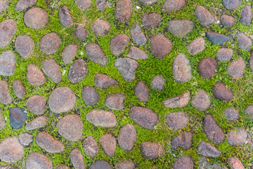 Covered with a quality paving stone in daylight