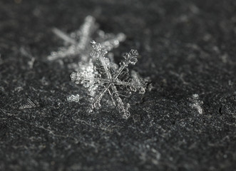 White Snow on Grey Stone