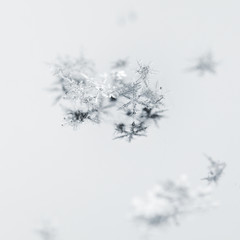 White Snowflakes