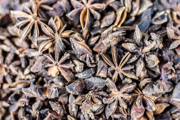 Illicium verum also known as star anise seed, badiyan.