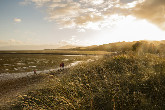 Late afternoon and low tide at Puponga, Farewell Spit, Golden Bay, South Island, New Zealand