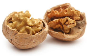 Walnut isolated