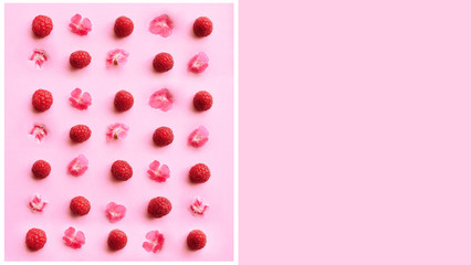Freshly picked ripe raspberries on pink background.