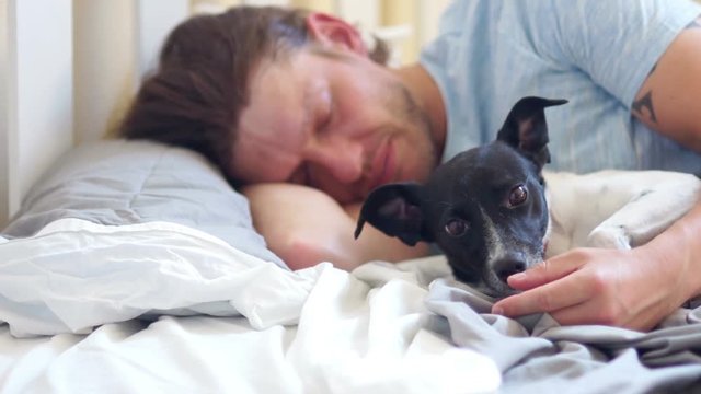 A young adult man sleeps in his bed with his dog. The pet wakes the owner and licks his hands