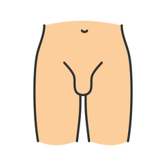 Male groin color icon