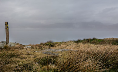 Fototapeta premium Seep's Head Peninsular on the Wild Atlantic Way, Ireland