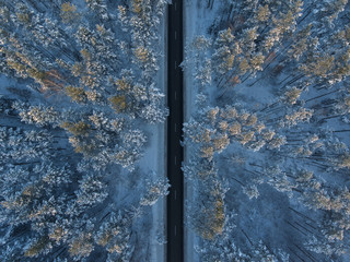Aerial view over the snowy pine tree forest at sunset in Europe. With the road straight through the forest.
