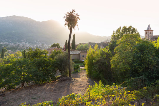 view over the valley of Soller, palm tree and back light, romantic mountain village, Biniaraix, Serra de Tramuntana, Majorca, Balearic Islands, Spain, Europe