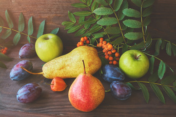 Autumn harvest. Pears, plums, apple, and leaves on the wooden table