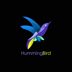Obraz premium hummingbird vector logo