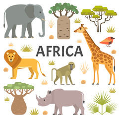 Vector illustration of African animals and plants: lion, baboon, elephant, giraffe, rhino, trees and grass, isolated on light background.