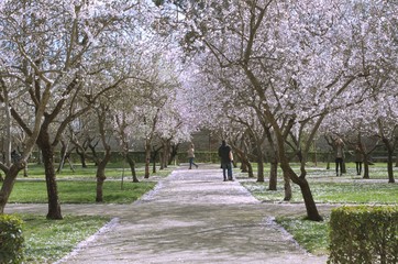 urban park lanscape background.