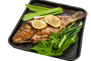 Baked carp marinated in lemon and spices with green leaf lettuce on a metal plate. Isolated on a white background.