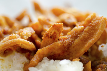 Fried pork sticky rice