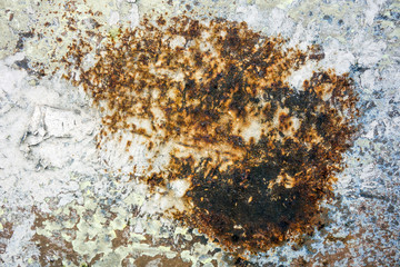 large Rust backgrounds perfect background with space for text or image