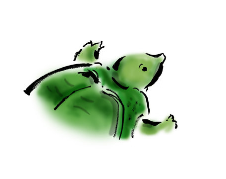 26 Best 生物のイラスト Images Stock Photos Vectors Adobe Stock