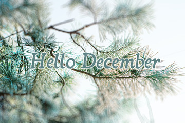 hello december (winter) card 