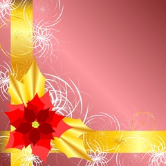 Golden pink background with poinsettia