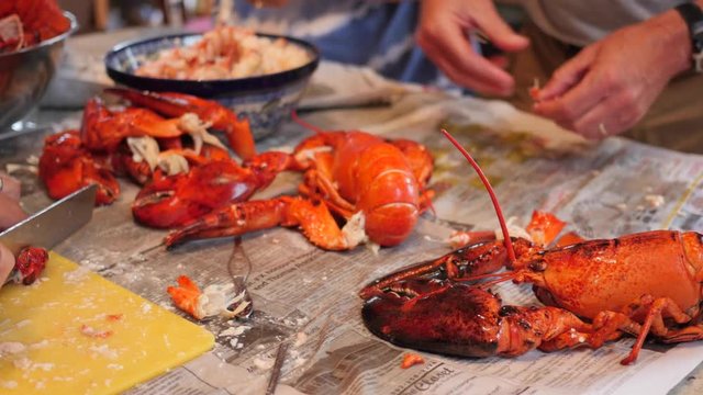 People prepare fresh lobster for their dinner at home