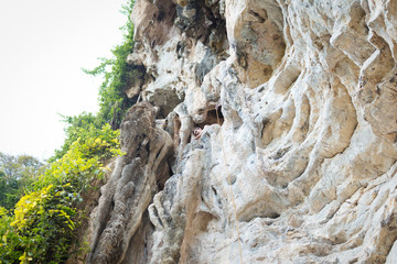 Young man rock climbing on white mountain